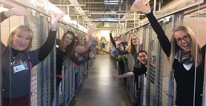 Slavlje u praznim kavezima skloništa: Udomili apsolutno sve životinje